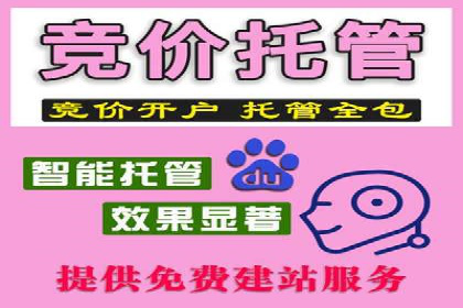 百度竞价推广实战：某电商平台的销售增长秘诀